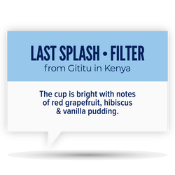 LAST SPLASH