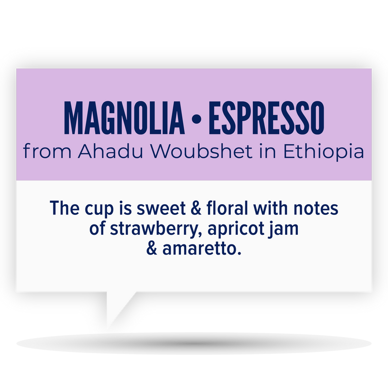 MAGNOLIA