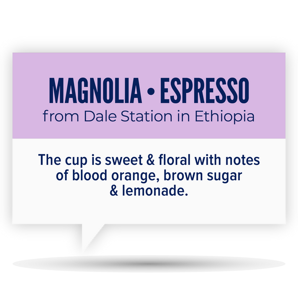 MAGNOLIA