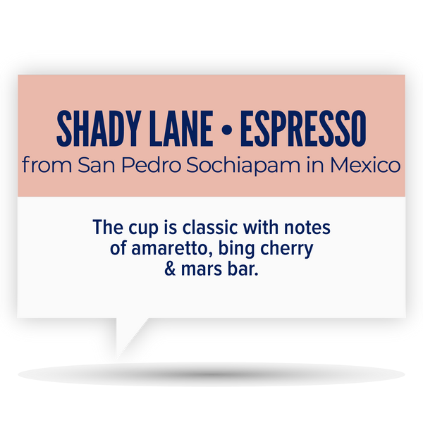 SHADY LANE