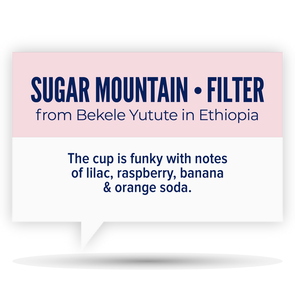SUGAR MOUNTAIN