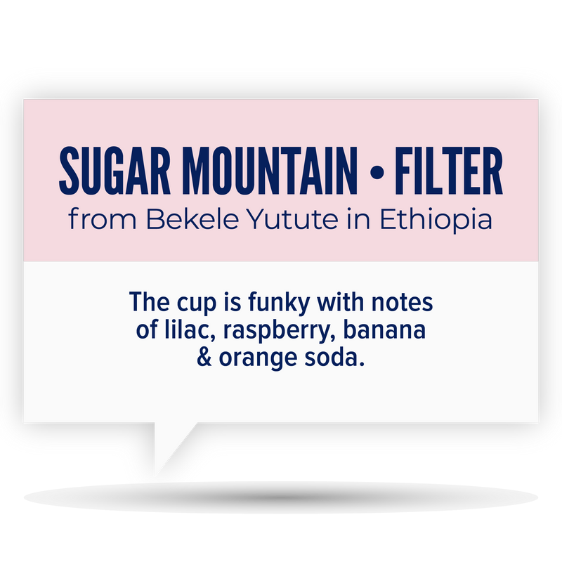 SUGAR MOUNTAIN