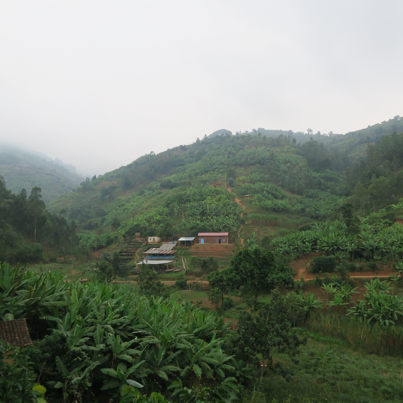 RWANDA • MUZO