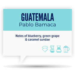 GUATEMALA • PABLO BAMACA