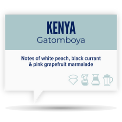 KENYA • GATOMBOYA