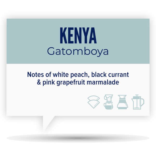 KENYA • GATOMBOYA