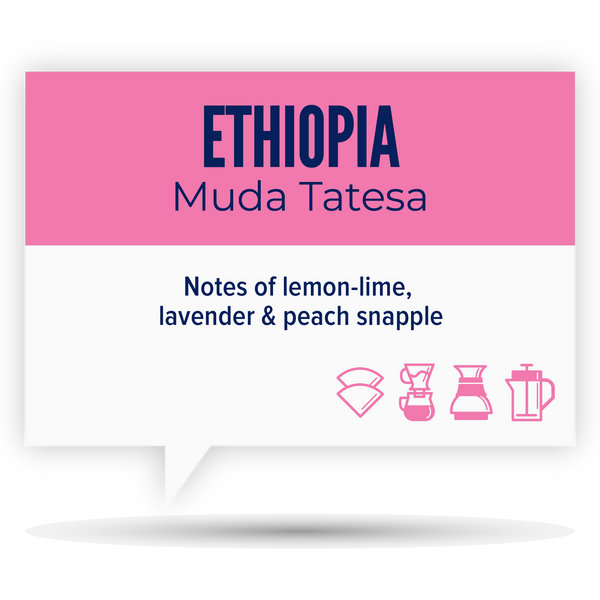 ETHIOPIA • MUDA TATESA