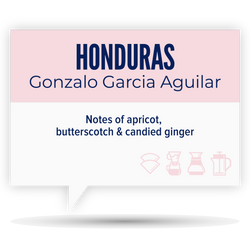 HONDURAS • GONZALO GARCIA AGUILAR
