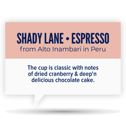 SHADY LANE
