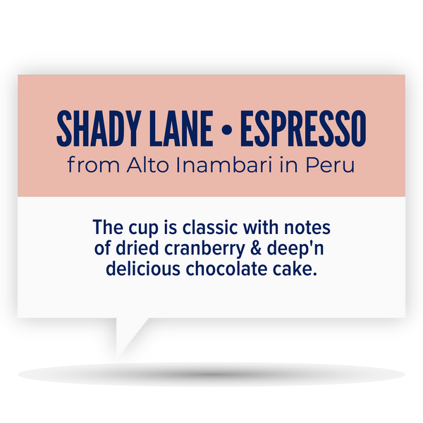 SHADY LANE