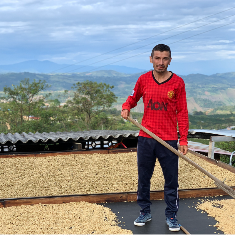 COLOMBIA • HAMITH BURBANO