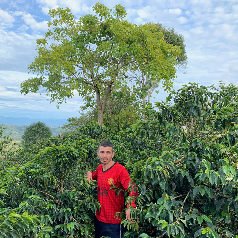 COLOMBIA • HAMITH BURBANO