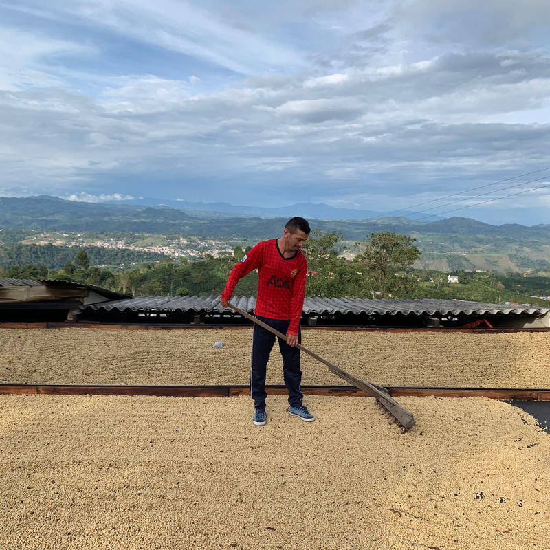 COLOMBIA • HAMITH BURBANO