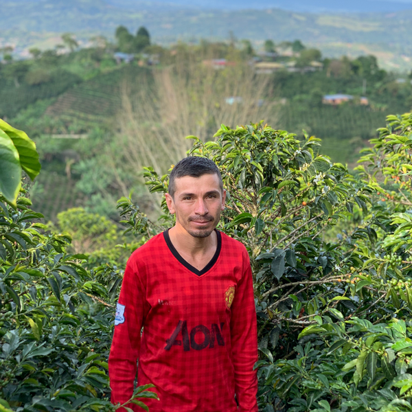 COLOMBIA • HAMITH BURBANO