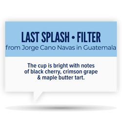 LAST SPLASH