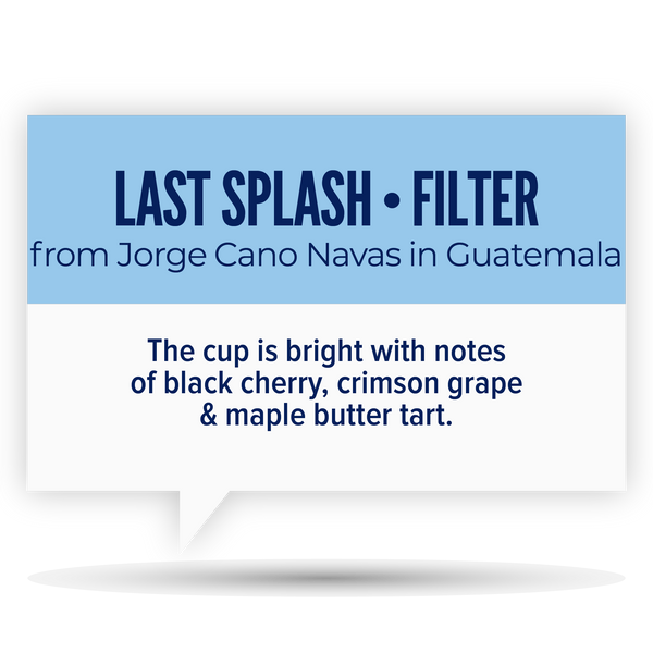 LAST SPLASH