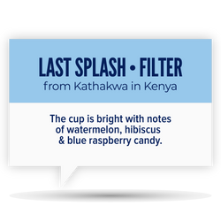 LAST SPLASH