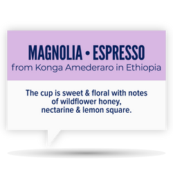 MAGNOLIA