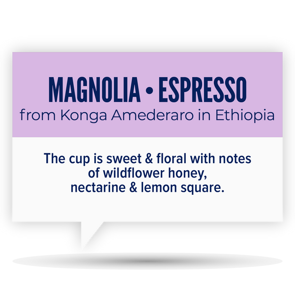 MAGNOLIA