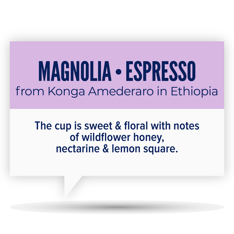 MAGNOLIA