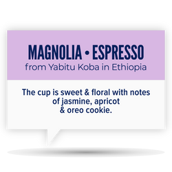 MAGNOLIA