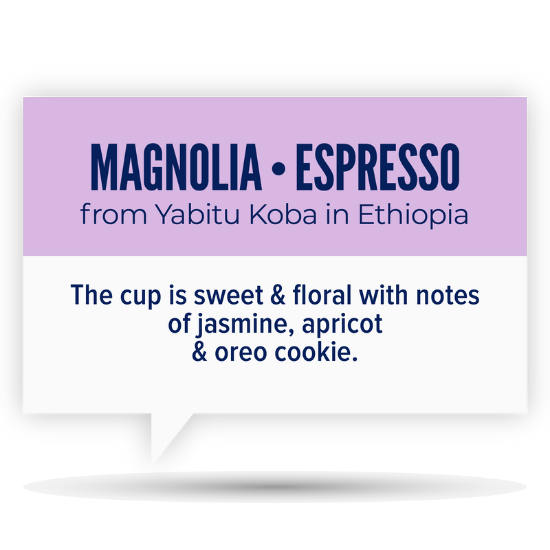 MAGNOLIA