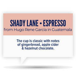 SHADY LANE