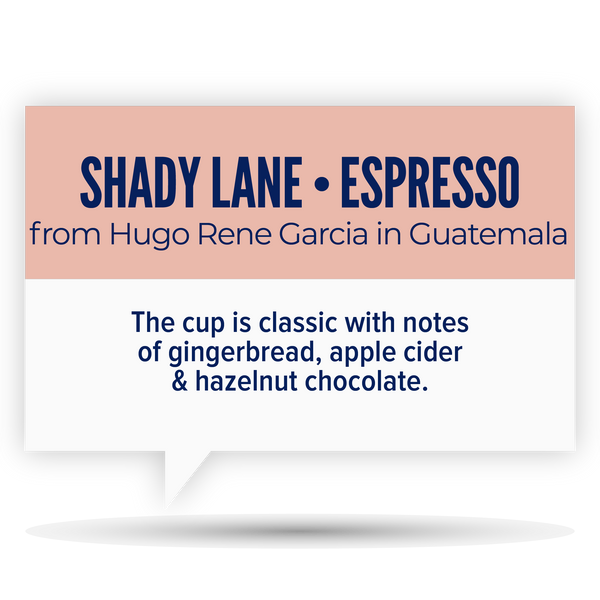 SHADY LANE