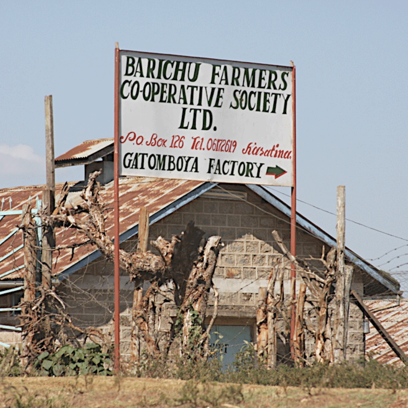 KENYA • GATOMBOYA